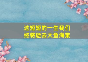 这短短的一生我们终将逝去大鱼海棠