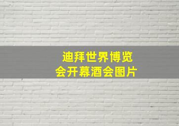 迪拜世界博览会开幕酒会图片