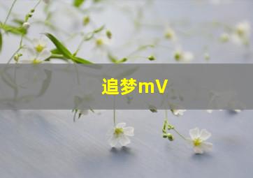 追梦mV