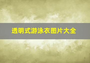 透明式游泳衣图片大全