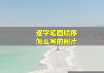 逐字笔画顺序怎么写的图片