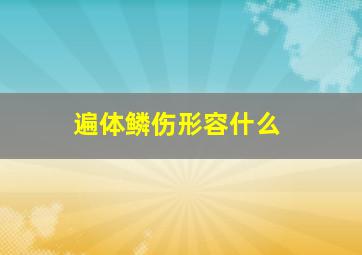 遍体鳞伤形容什么