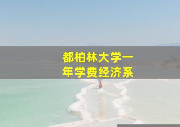 都柏林大学一年学费经济系