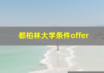 都柏林大学条件offer