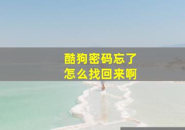 酷狗密码忘了怎么找回来啊