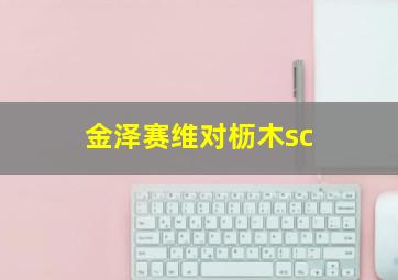 金泽赛维对枥木sc