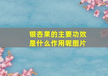 银杏果的主要功效是什么作用呢图片