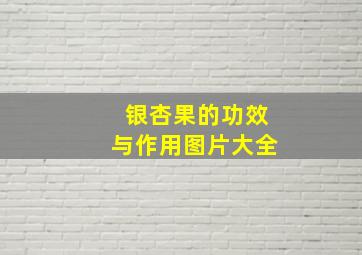 银杏果的功效与作用图片大全