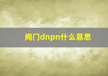 阀门dnpn什么意思