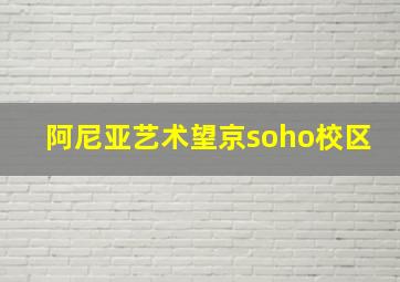 阿尼亚艺术望京soho校区