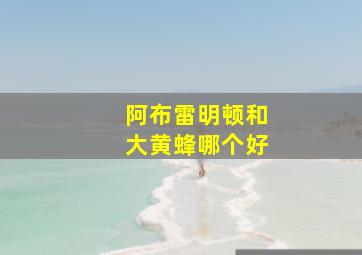 阿布雷明顿和大黄蜂哪个好