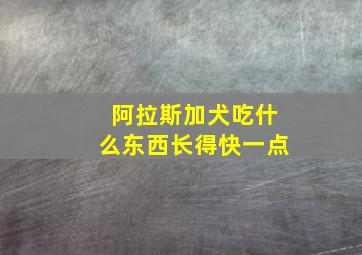 阿拉斯加犬吃什么东西长得快一点