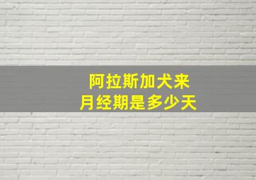 阿拉斯加犬来月经期是多少天