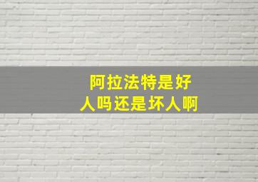 阿拉法特是好人吗还是坏人啊