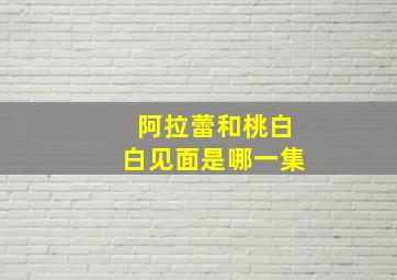 阿拉蕾和桃白白见面是哪一集