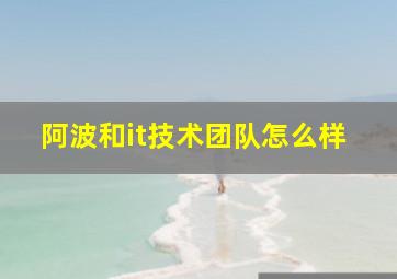 阿波和it技术团队怎么样