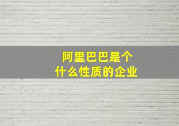 阿里巴巴是个什么性质的企业