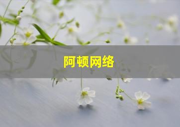 阿顿网络