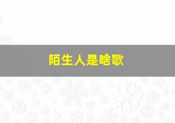 陌生人是啥歌