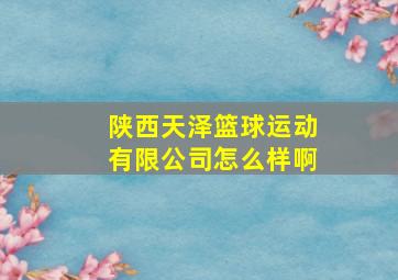 陕西天泽篮球运动有限公司怎么样啊