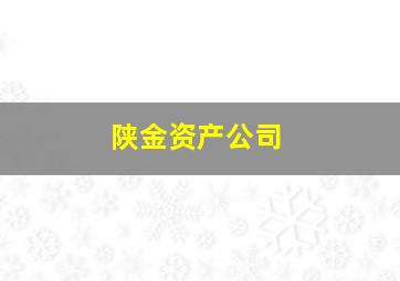 陕金资产公司