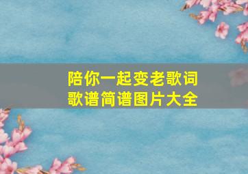 陪你一起变老歌词歌谱简谱图片大全