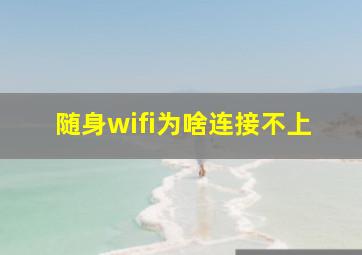 随身wifi为啥连接不上