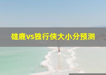 雄鹿vs独行侠大小分预测