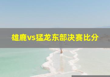 雄鹿vs猛龙东部决赛比分