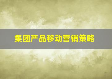 集团产品移动营销策略