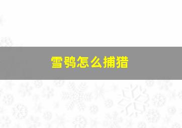 雪鸮怎么捕猎