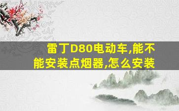 雷丁D80电动车,能不能安装点烟器,怎么安装