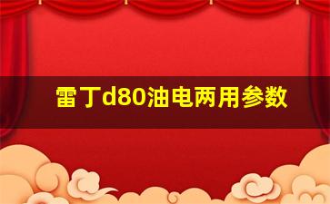 雷丁d80油电两用参数