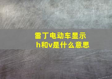 雷丁电动车显示h和v是什么意思