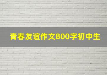 青春友谊作文800字初中生