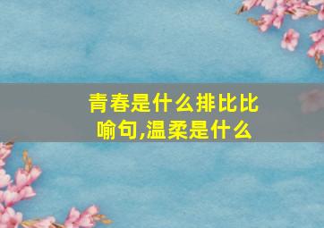 青春是什么排比比喻句,温柔是什么