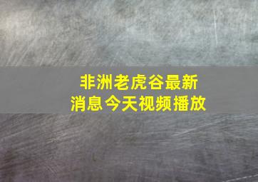 非洲老虎谷最新消息今天视频播放