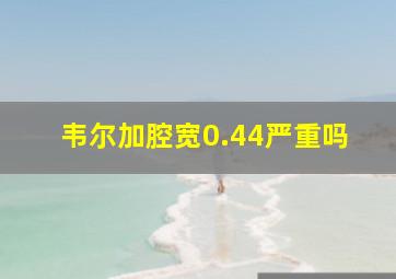 韦尔加腔宽0.44严重吗