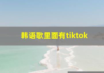 韩语歌里面有tiktok