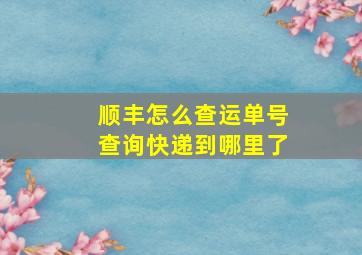 顺丰怎么查运单号查询快递到哪里了