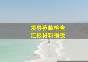 领导莅临检查汇报材料模板