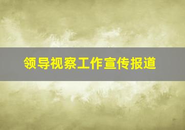 领导视察工作宣传报道