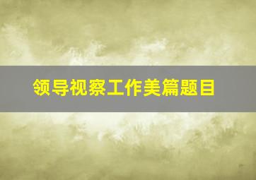 领导视察工作美篇题目