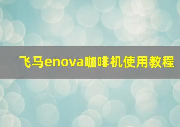 飞马enova咖啡机使用教程