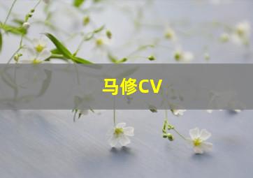 马修CV