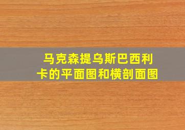 马克森提乌斯巴西利卡的平面图和横剖面图