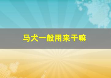 马犬一般用来干嘛