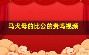 马犬母的比公的贵吗视频