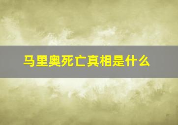 马里奥死亡真相是什么