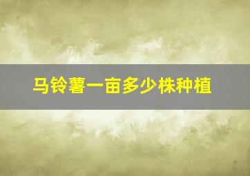 马铃薯一亩多少株种植